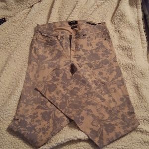 BDG 29×34